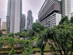 The Cairnhill (D9), Condominium #557355091